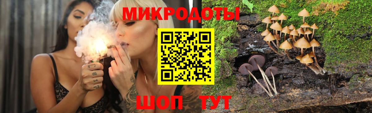 Псилоцибиновые грибы Cubensis Учалы